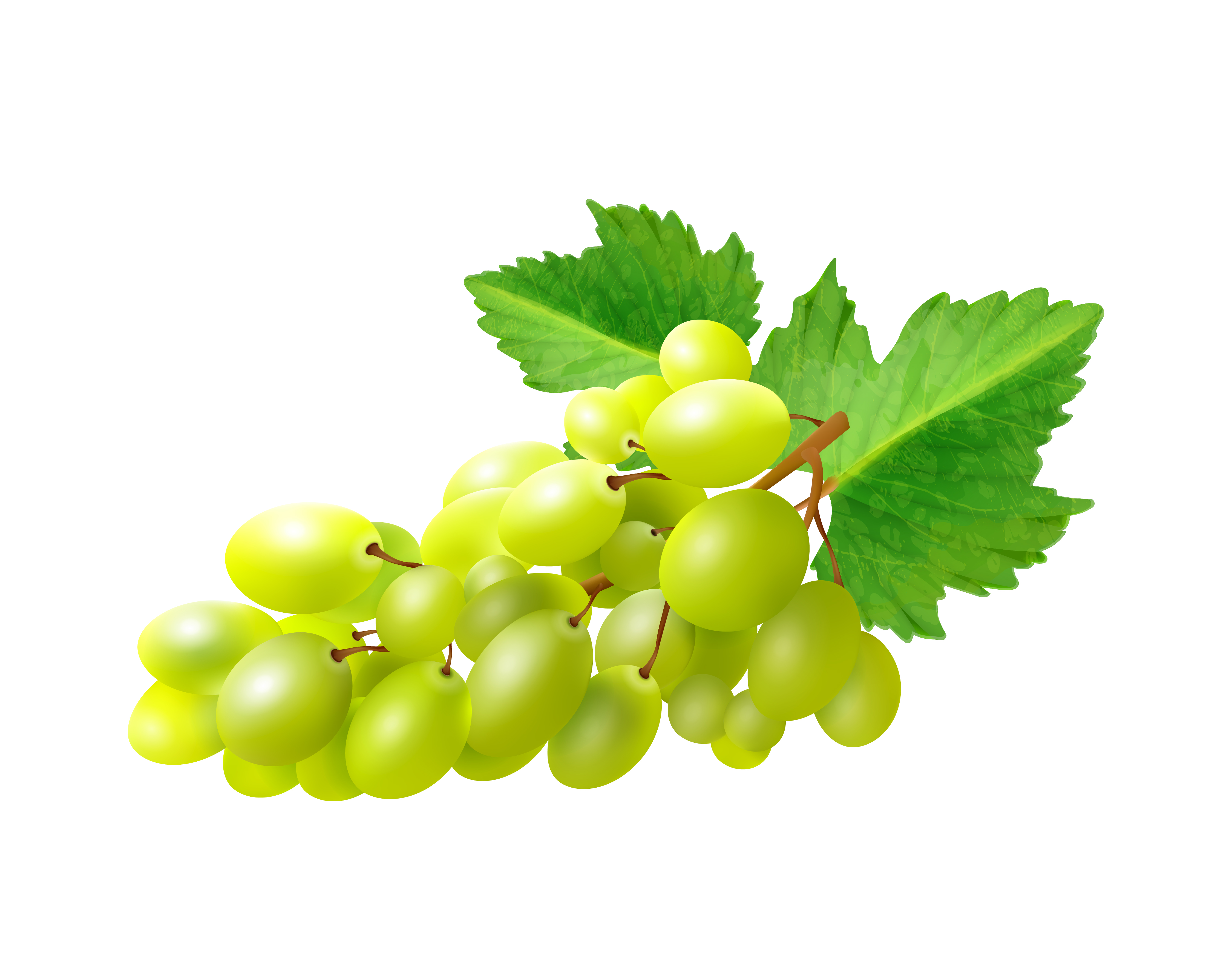 grapes